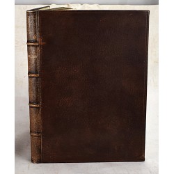 Ioannis Grammatici Cognomento Philoponi Eruditissima Commentaria in Primos Quatuor Aristotelis De Naturali Auscultatione Libros. Nunc Primum E Graeco in Latinum Fideliter Translata.